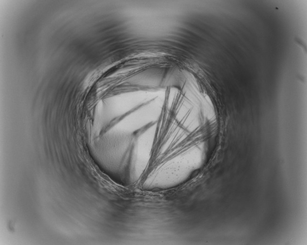 X0000099960337200806131515