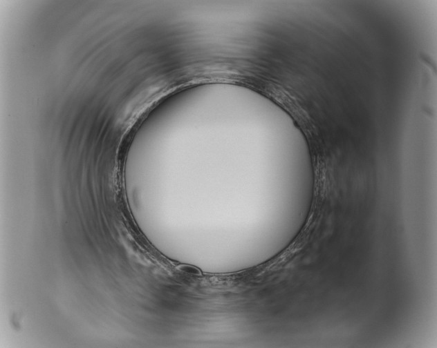 X0000099960338200806131515