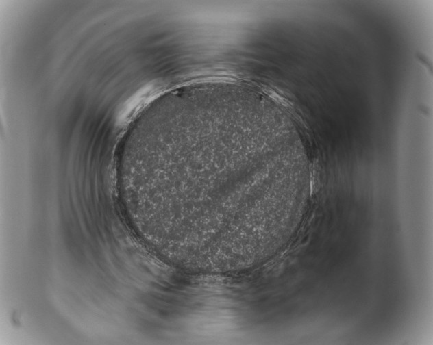 X0000099960339200806131515