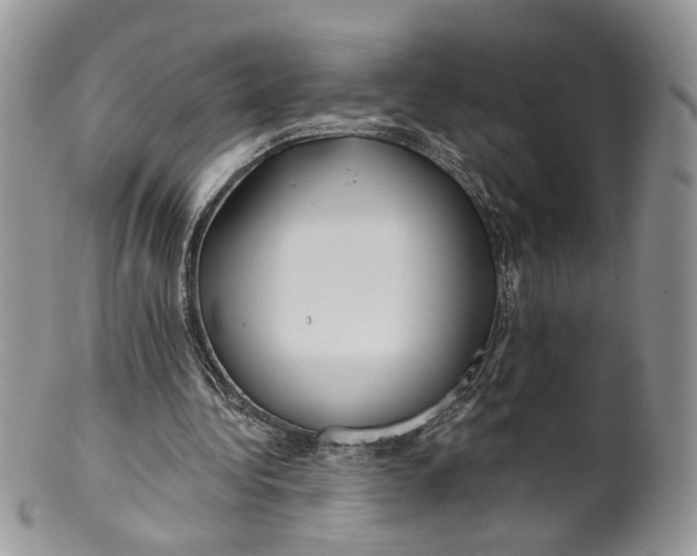 X0000099960340200806131515