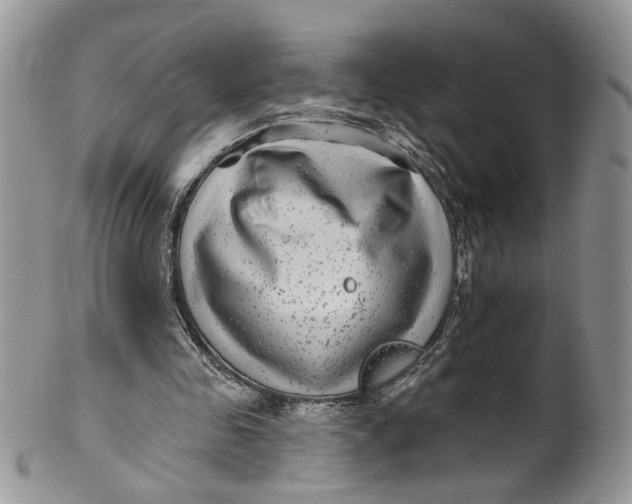 X0000099960341200806131515