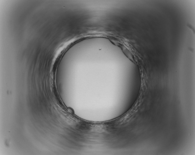 X0000099960342200806131515