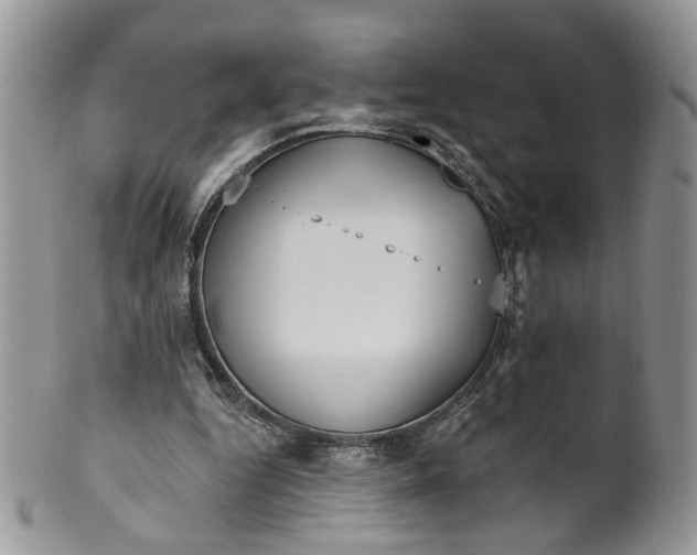 X0000099960344200806131515