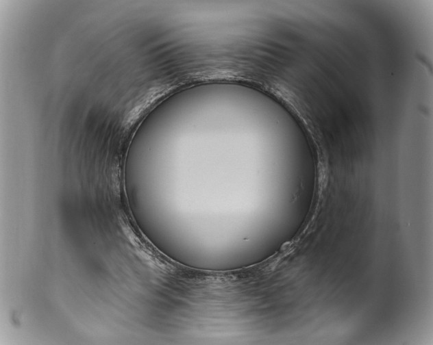 X0000099960345200806131515