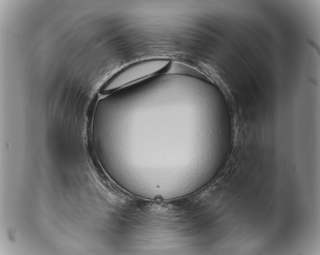 X0000099960346200806131515