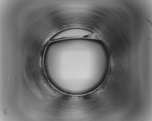 X0000099960347200806131515