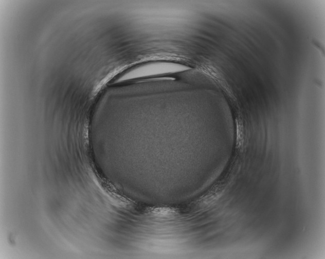 X0000099960348200806131515