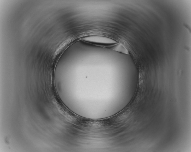 X0000099960349200806131515