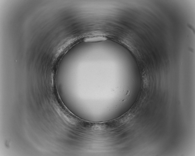 X0000099960350200806131515