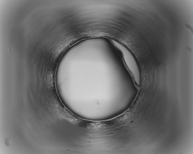 X0000099960351200806131515