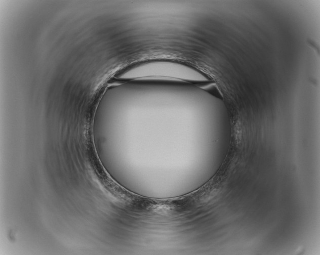 X0000099960352200806131515