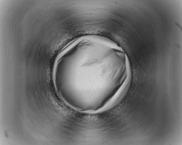 X0000099960354200806131515