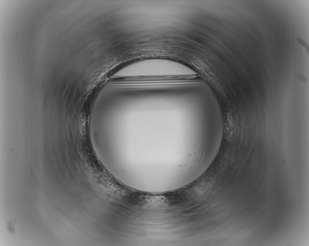 X0000099960355200806131515