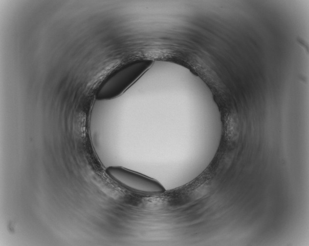 X0000099960356200806131515