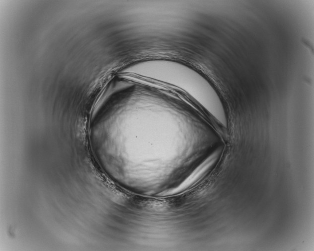 X0000099960357200806131515