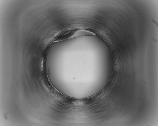 X0000099960358200806131515