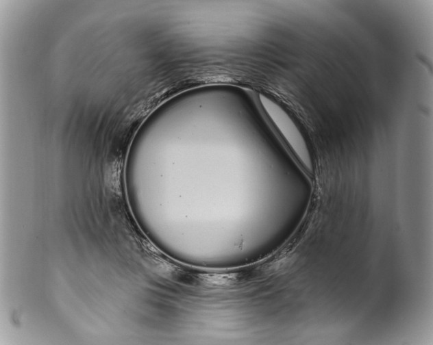 X0000099960359200806131515