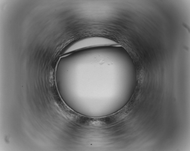 X0000099960360200806131515