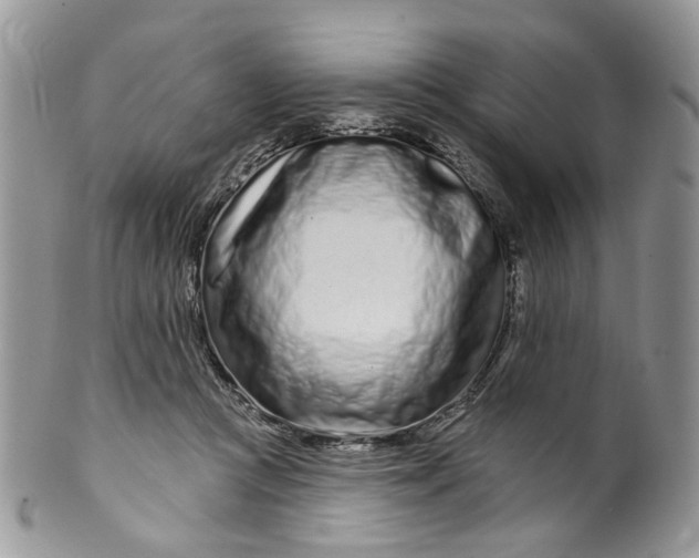 X0000099960361200806131515