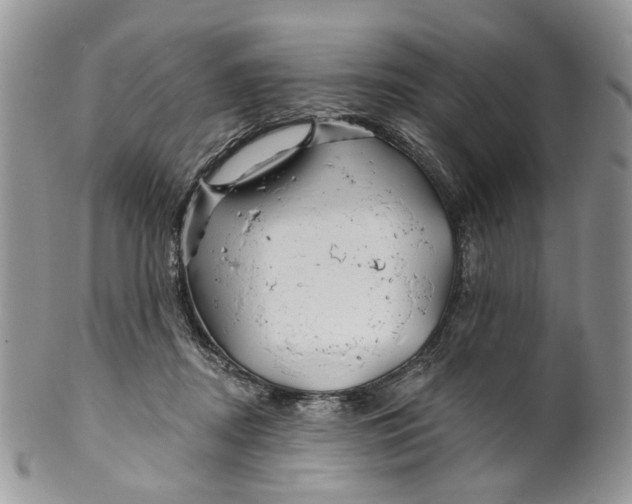 X0000099960362200806131515