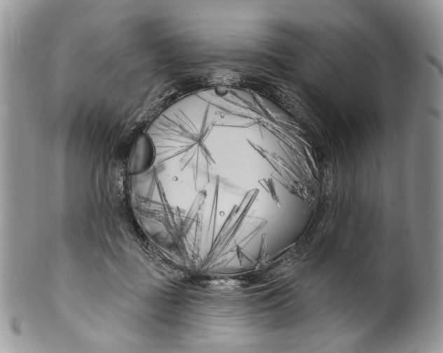 X0000099960363200806131515