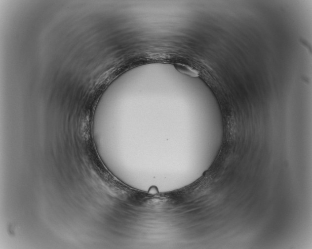 X0000099960364200806131515