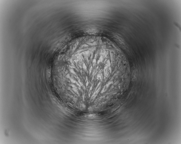 X0000099960365200806131515