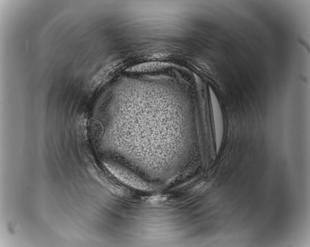 X0000099960366200806131515