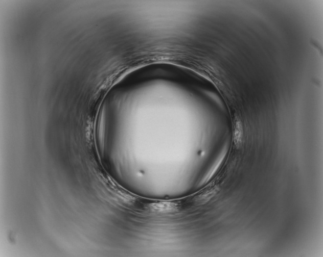 X0000099960367200806131515