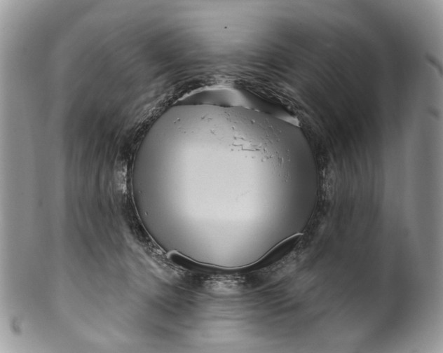 X0000099960368200806131515