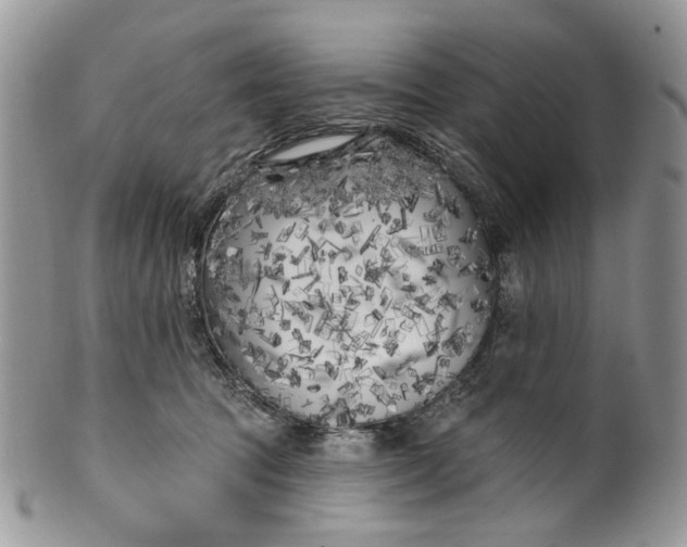 X0000099960369200806131515