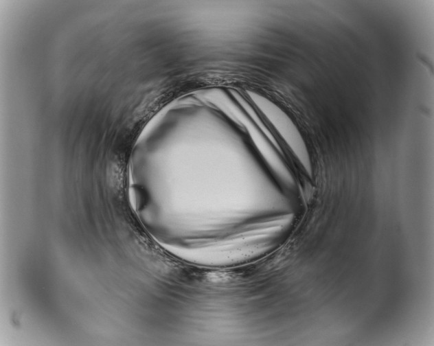 X0000099960371200806131515