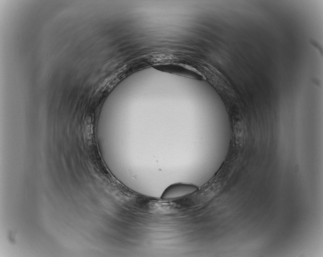 X0000099960372200806131515