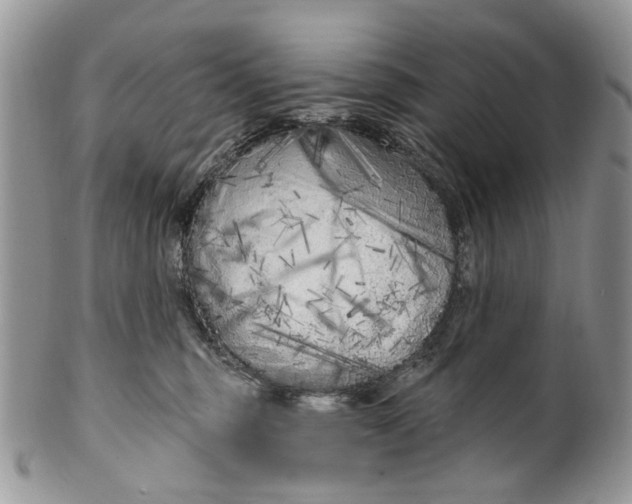 X0000099960375200806131515