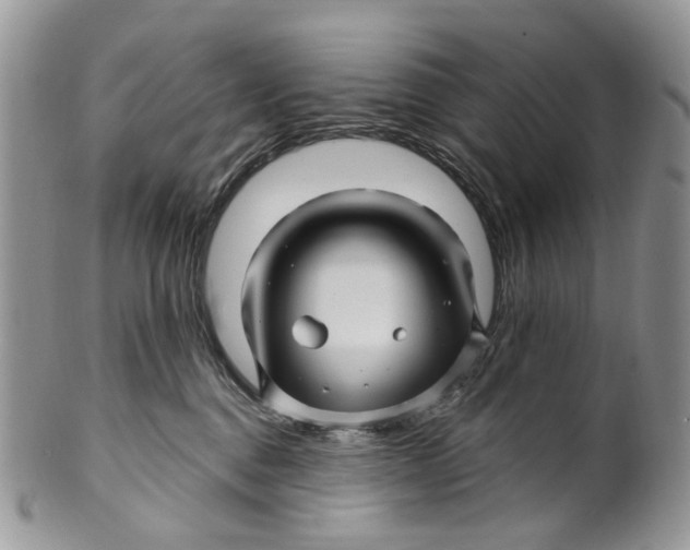 X0000099960376200806131515