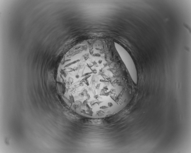 X0000099960377200806131515