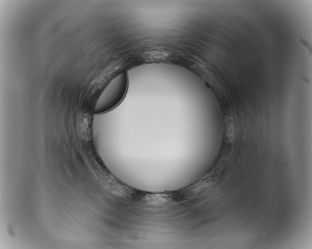 X0000099960378200806131515