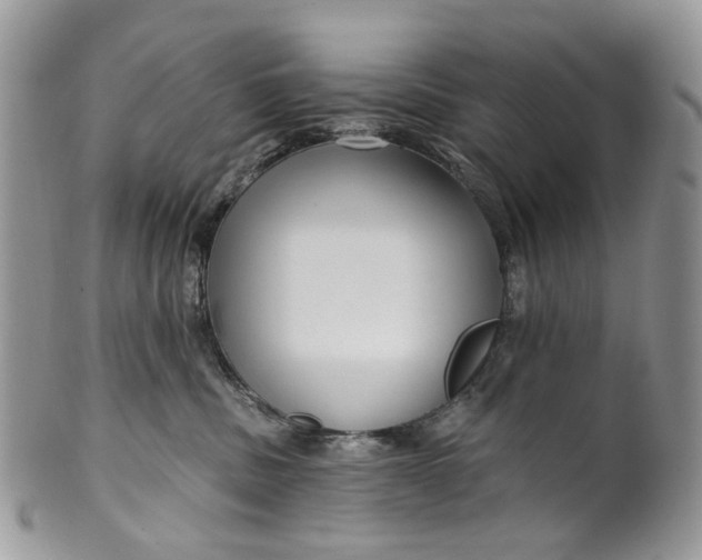 X0000099960379200806131515