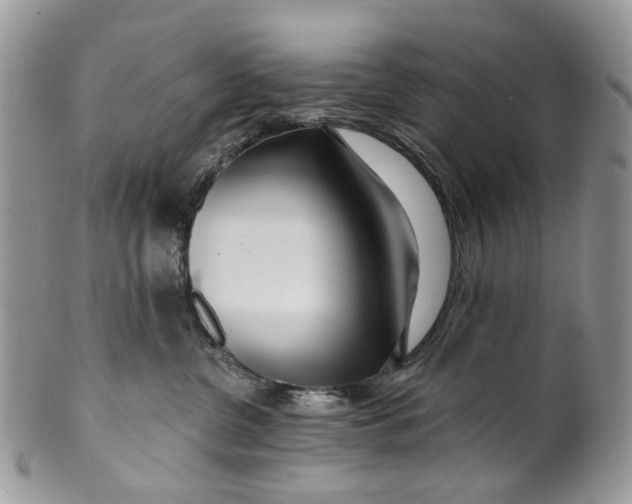 X0000099960380200806131515