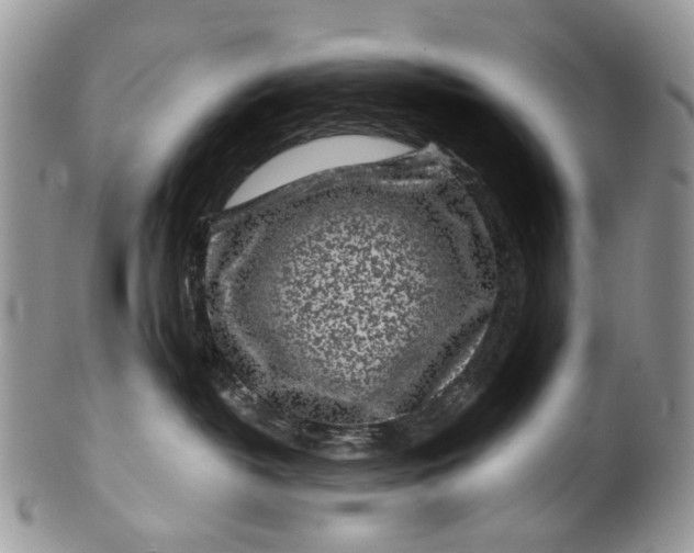 X0000099960382200806131516