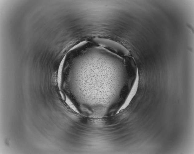 X0000099960383200806131516