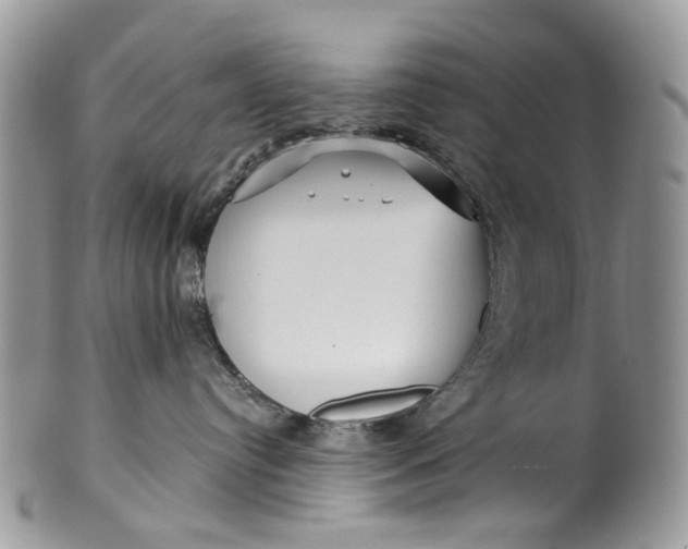 X0000099960384200806131516