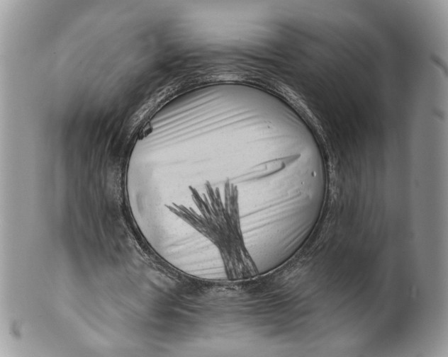 X0000099960386200806131515