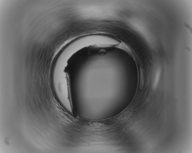 X0000099960387200806131515