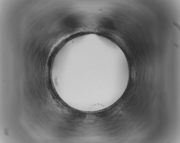 X0000099960388200806131515