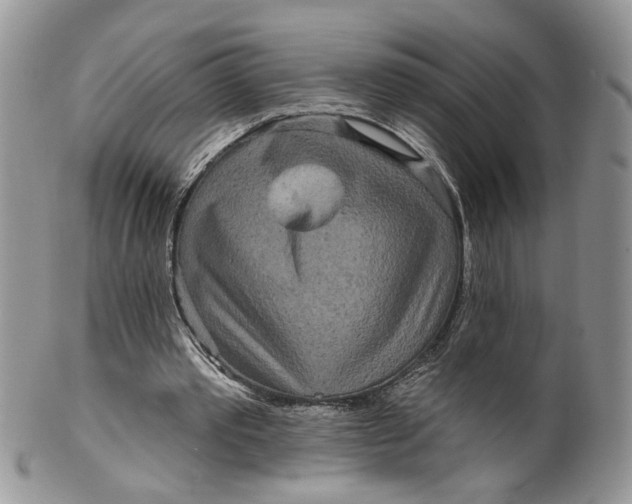 X0000099960389200806131515