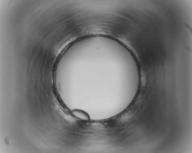 X0000099960390200806131515