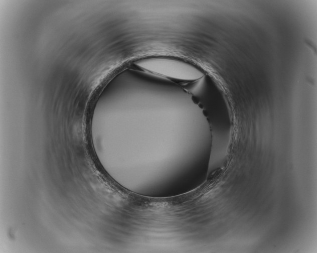 X0000099960391200806131515