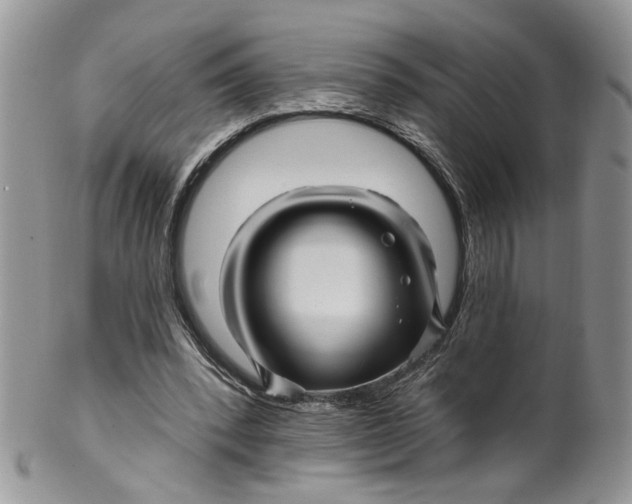 X0000099960392200806131515