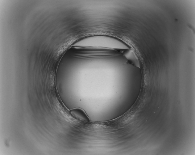 X0000099960393200806131515